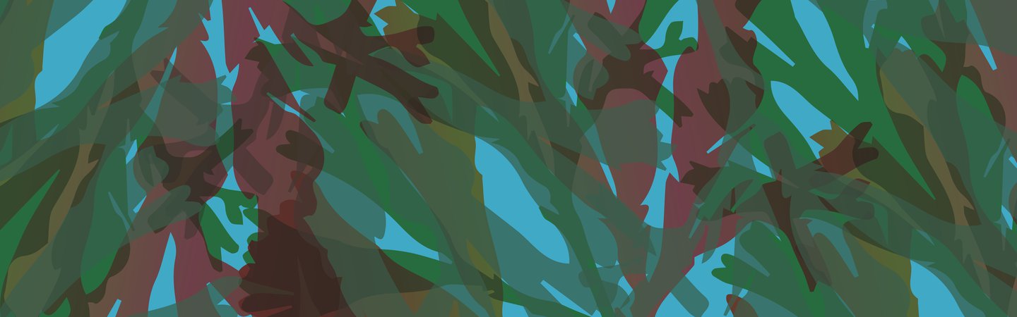 Big Seaweed Search Pattern