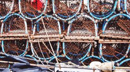Lobster pots in Arbroath, Scotland
