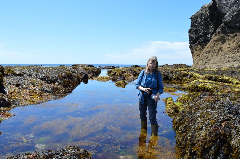 Juliet Brodie -NHM - Big Seaweed Search
