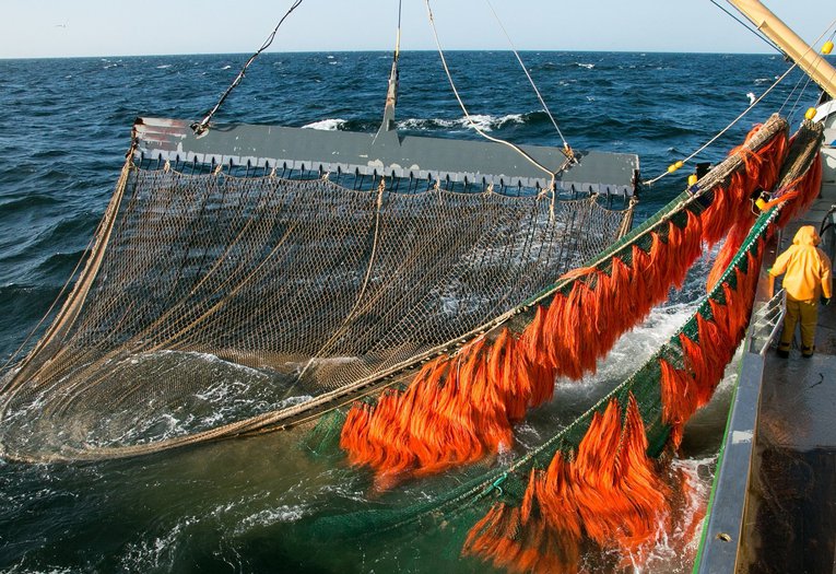 Dolly rope at sea - photo by WJ Strietman (002).jpg