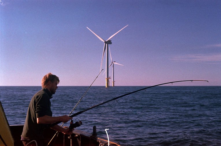 Dr Jan Ruebens collecting field specimens.jpg