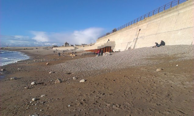 FIG12-Chesil-Feb-2014-IMAG3010.jpg