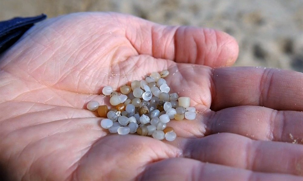 Plastic nurdles pollution Latest news Marine Conservation Society
