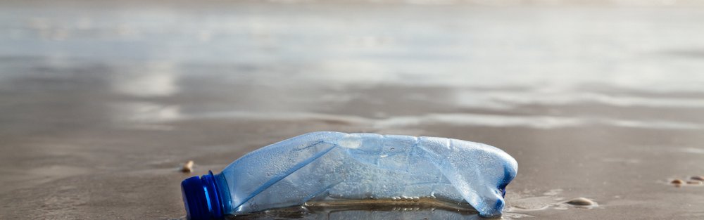 Plastic bottle on the shoreline Canetti