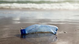 Plastic bottle on the shoreline Canetti