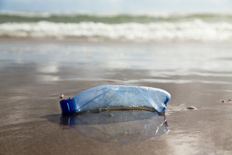 Plastic bottle on the shoreline Canetti