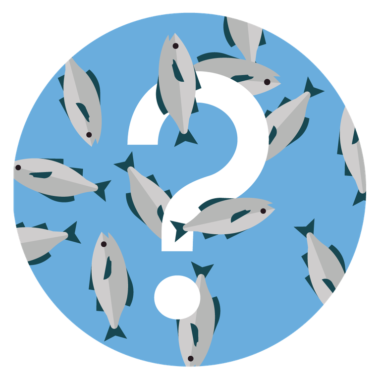 TransparentSea Marine Conservation Society