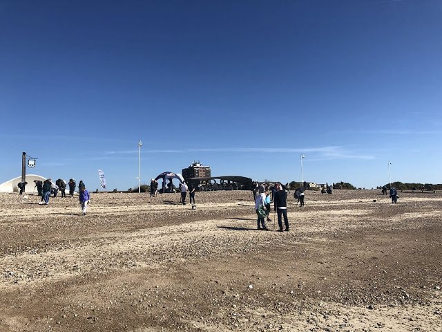 Sea champions beach clean 3.jpg