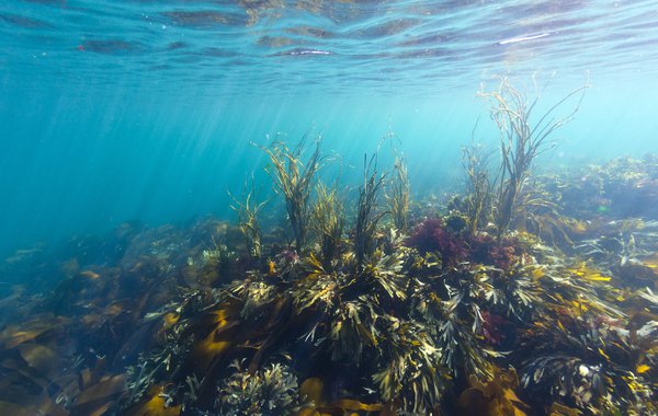 Shallow waters in summertime in the Hebrides on the West coast of Scotland Joost Van Uffelen