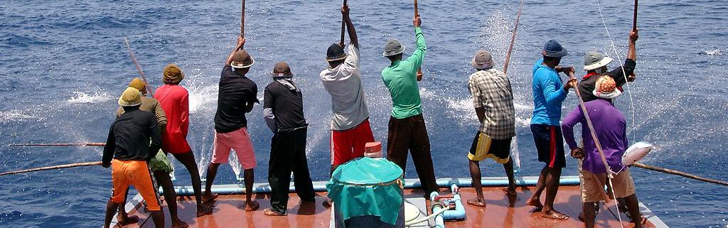 Pole and line Tuna fishing boat Maldives MacAlister Elliot and Partners