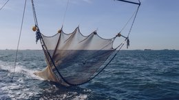 Trawler Net on commercial fishing boat Anney Lier