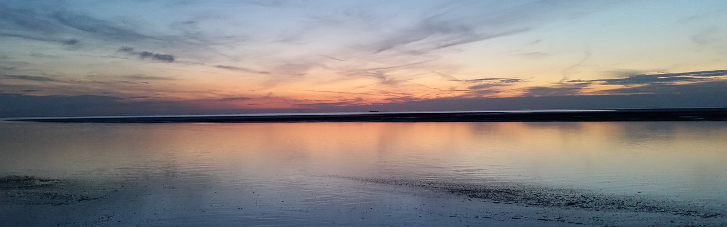 Sunset Paul Garnett