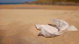 Wet wipe on beach Natasha Ewins
