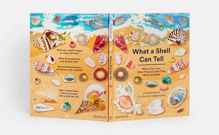 What a Shell Can Tell, Phaidon