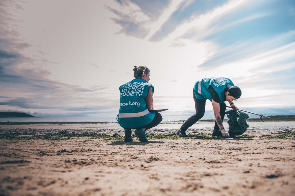 Beach cleans | What you can do | Marine Conservation Society