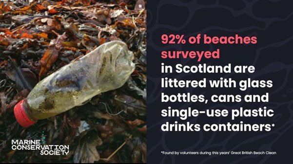 beach clean stat.jpg