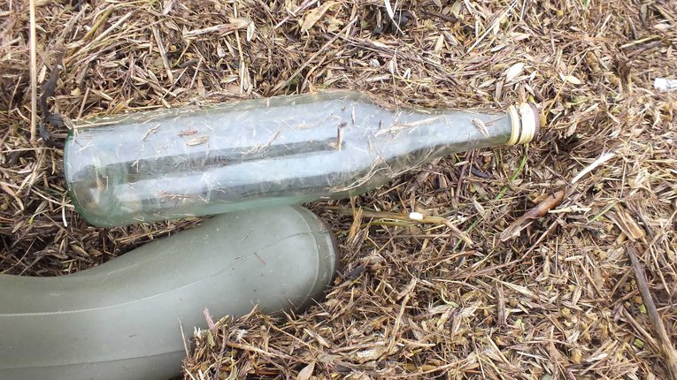 glass bottle.jpg