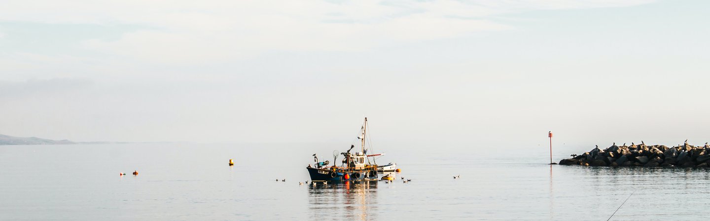 Fishing boats in Lyme Regis Michael Hutton