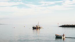 Fishing boats in Lyme Regis Michael Hutton