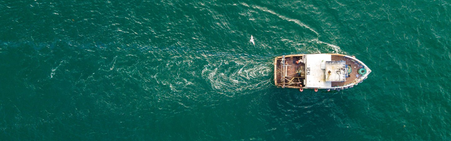 Trawler_1144025771_Norrie3699.flipped.jpg