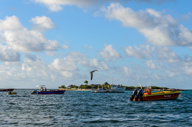 Anguilla fishermen